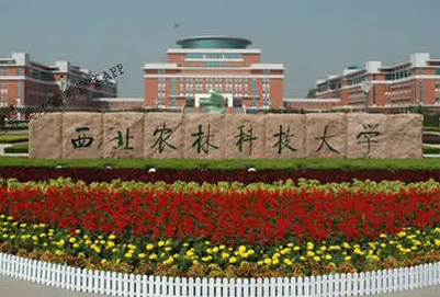 西北農林科技大學